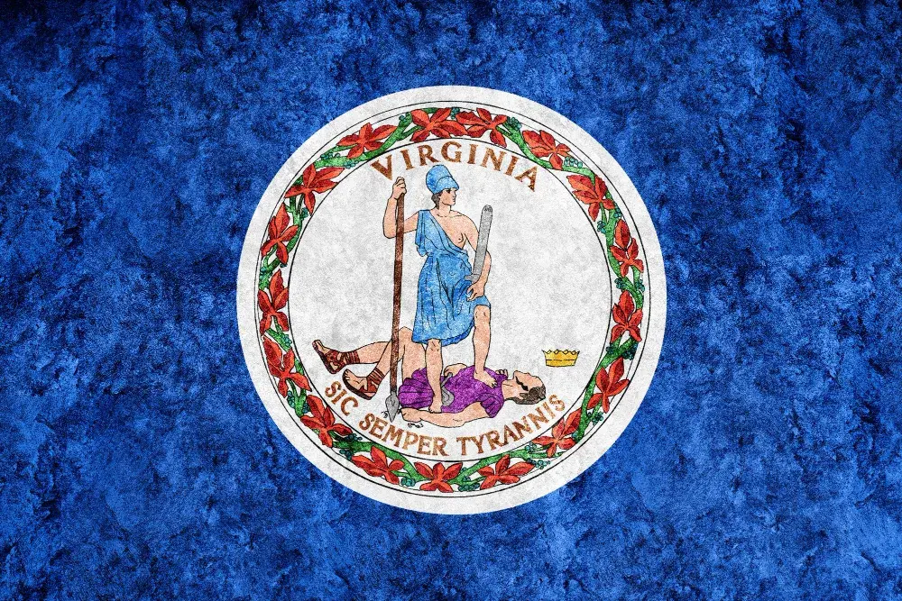 Do You Need a Business License in Virginia?